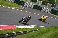 cadwell-no-limits-trackday;cadwell-park;cadwell-park-photographs;cadwell-trackday-photographs;enduro-digital-images;event-digital-images;eventdigitalimages;no-limits-trackdays;peter-wileman-photography;racing-digital-images;trackday-digital-images;trackday-photos